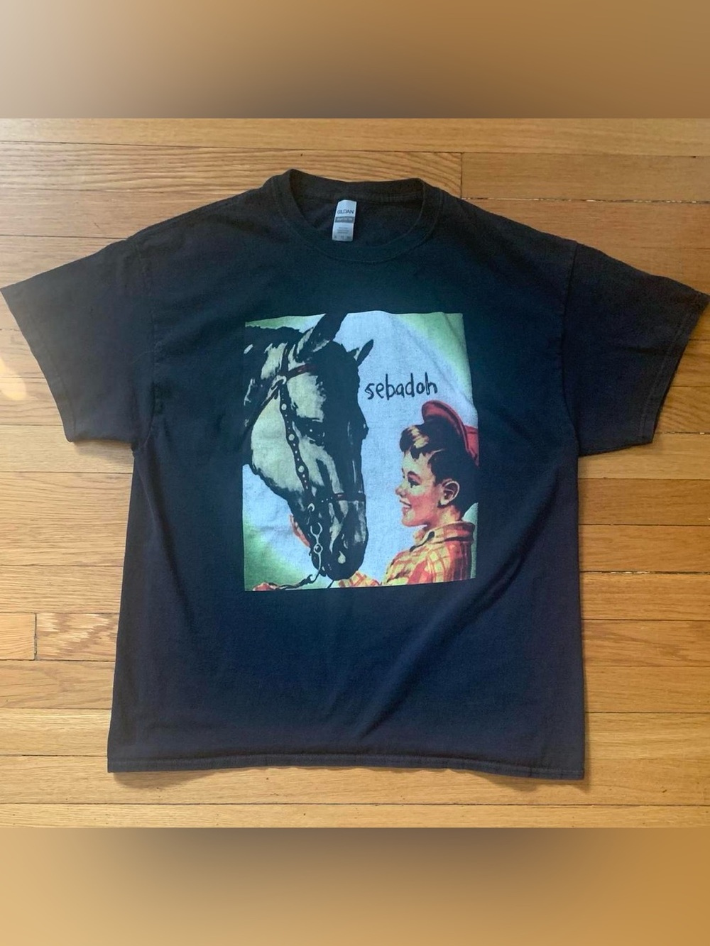Sebadoh - Beauty of the Ride Graphic Tee